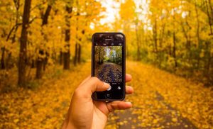 Mobile photography Tips and tricks for taking professional-looking photos with your phone