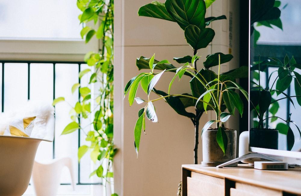 Going green: 7 Effective ways to make your office eco-friendly