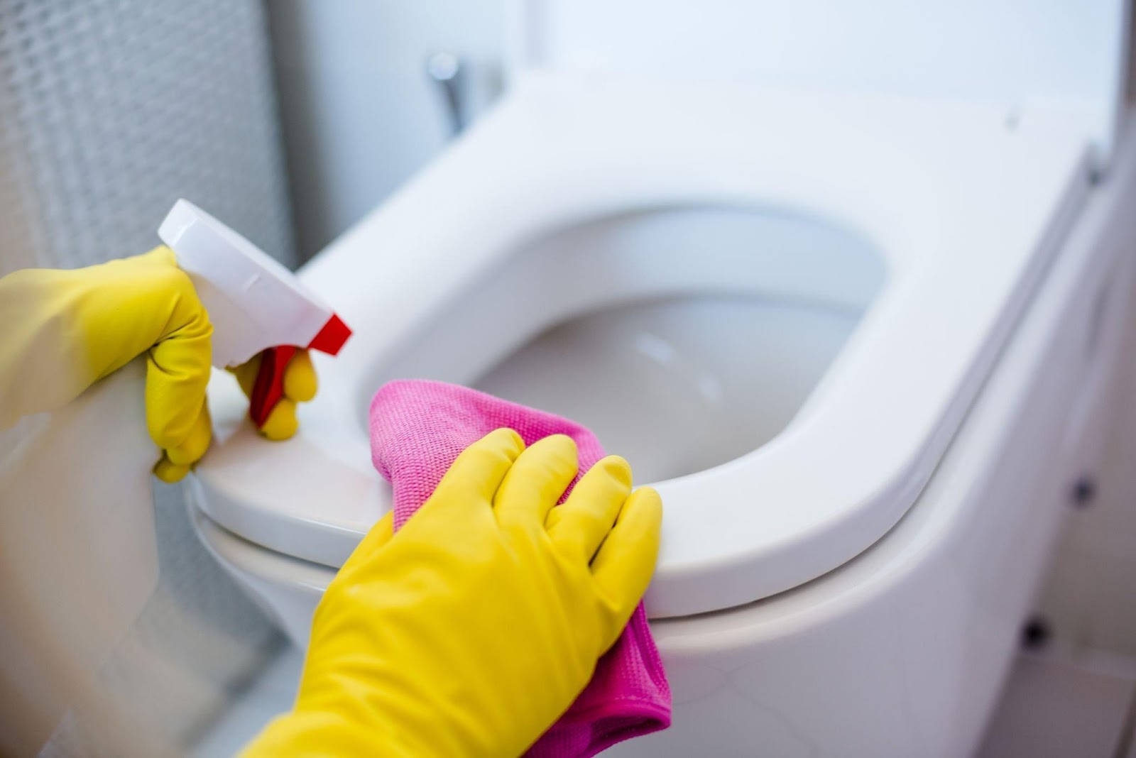 Toilet Deep Cleaning