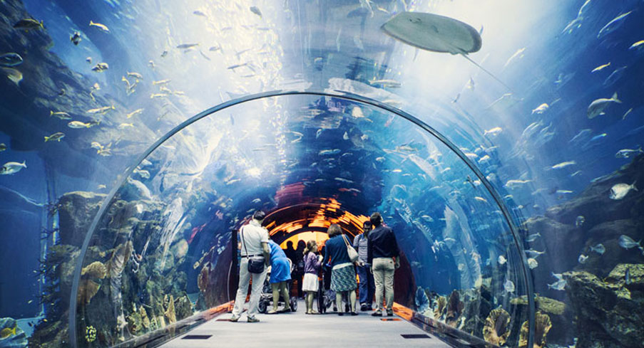 10 Adventure Activities in Dubai That You Must Try