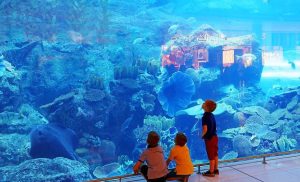 10 Best Things to Do in Dubai With Kids