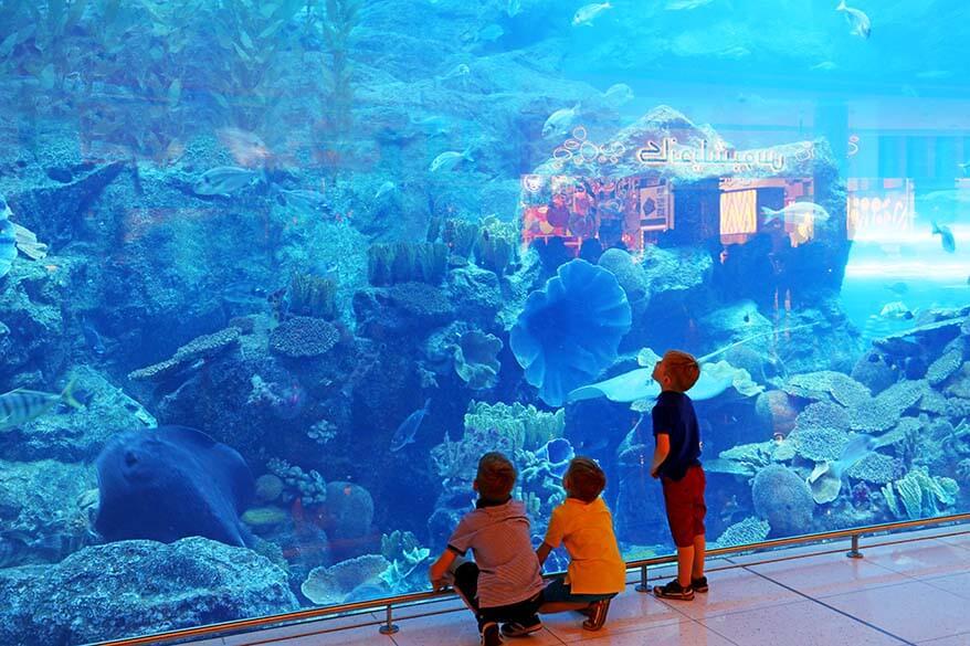 10 Best Things to Do in Dubai With Kids