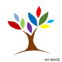 Kannapolis Tree Services